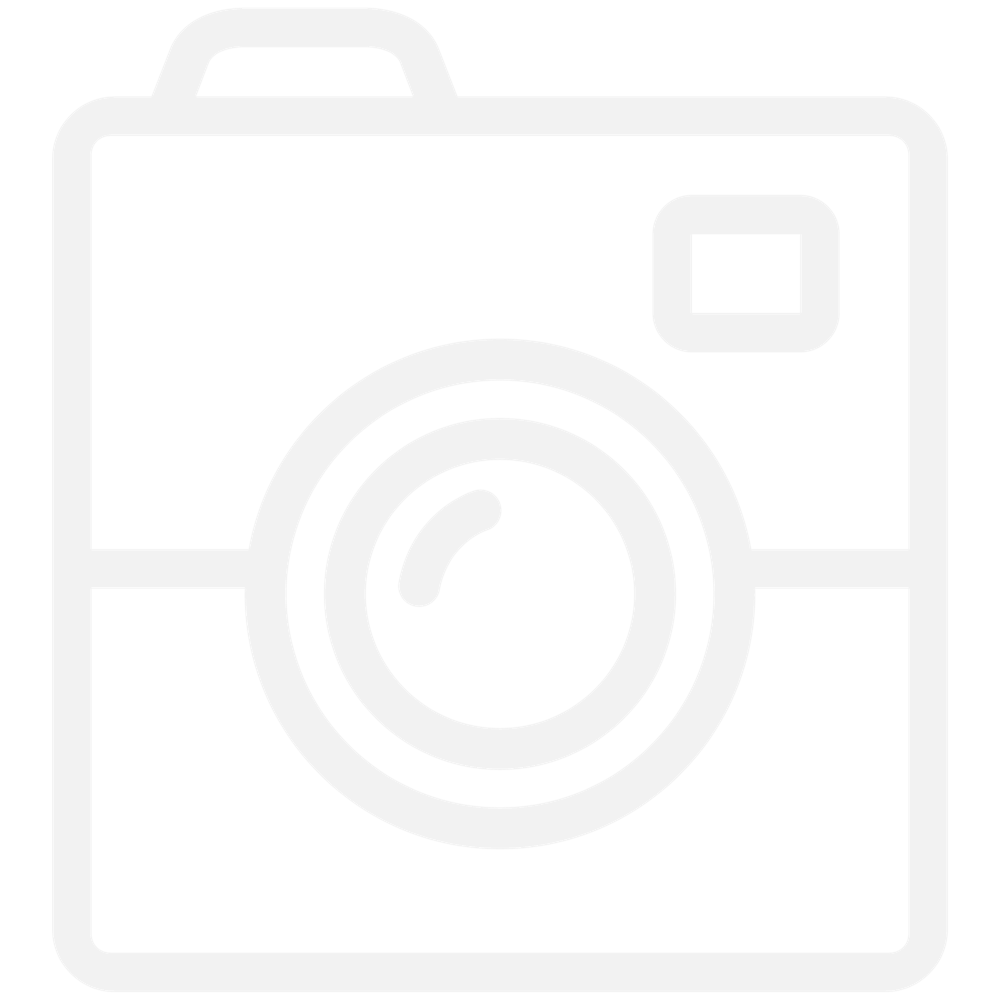 Insta icon